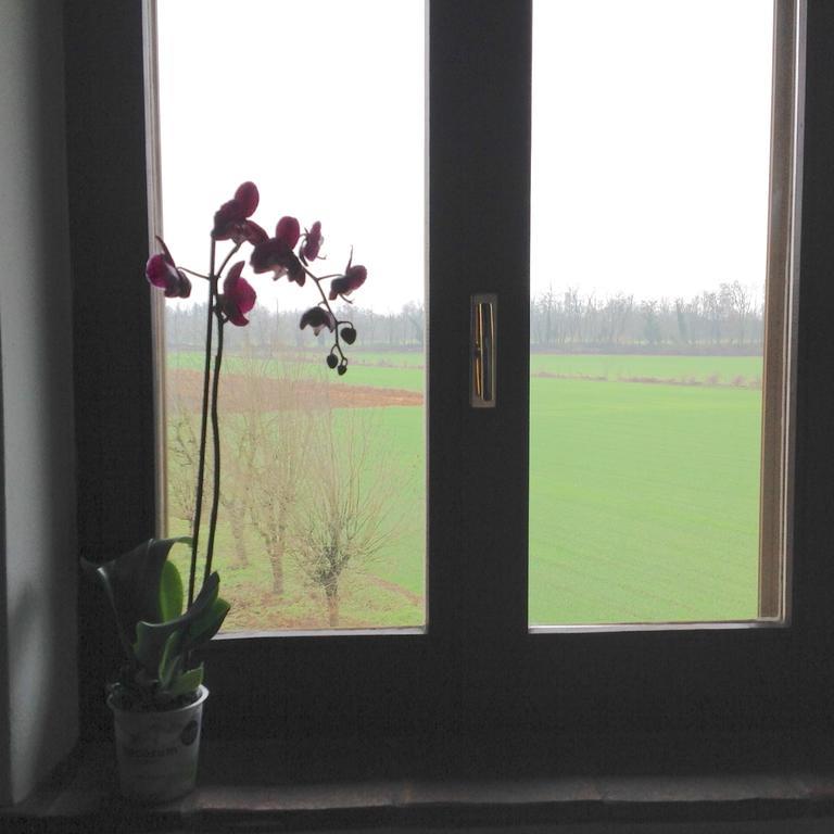 Agriturismo La Morosina Abbiategrasso Chambre photo